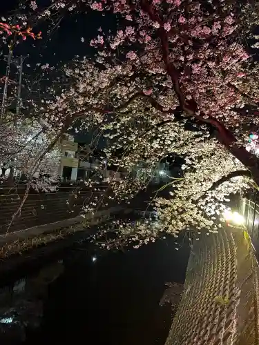 弘明寺の{uncategorized: "未分類", other: "その他", undefined: "問題あり", building: "その他建物", grave: "お墓", sacred_gate: "鳥居", guardian: "狛犬", statue: "像", buddha: "仏像", history: "歴史", nature: "自然", garden: "庭園", animal: "動物", pagoda: "塔", temizu: "手水舎", mountain_gate: "山門・神門", sanctuary: "本殿・本堂", subordinate: "末社・摂社", art: "芸術", scenery: "景色", jizo: "地蔵", ema: "絵馬", goshuin: "御朱印", omikuji: "おみくじ", items: "授与品その他", amulet: "お守り", goshuincho: "御朱印帳", eats: "食事", festival: "お祭り", votive_dance: "神楽", shichigosan: "七五三参", wedding: "結婚式", experience: "体験その他", initially: "初詣", around: "周辺", anti_infection: "感染症対策"}