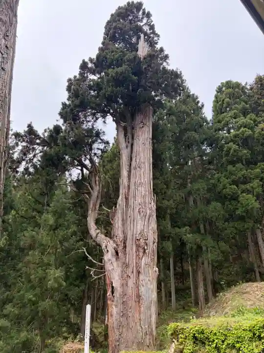 湯野沢熊野神社(山形県)