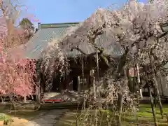 西雲寺の本殿