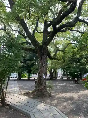 津嶋神社(香川県)