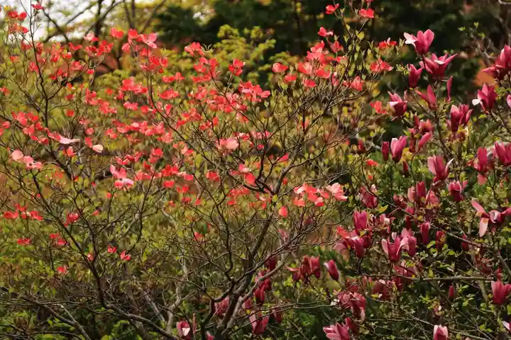 開成山大神宮の庭園