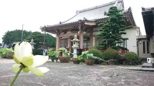 代通寺の本殿・本堂