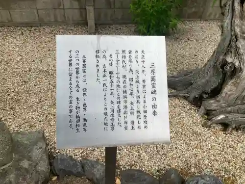 観音寺の{uncategorized: "未分類", other: "その他", undefined: "問題あり", building: "その他建物", grave: "お墓", sacred_gate: "鳥居", guardian: "狛犬", statue: "像", buddha: "仏像", history: "歴史", nature: "自然", garden: "庭園", animal: "動物", pagoda: "塔", temizu: "手水舎", mountain_gate: "山門・神門", sanctuary: "本殿・本堂", subordinate: "末社・摂社", art: "芸術", scenery: "景色", jizo: "地蔵", ema: "絵馬", goshuin: "御朱印", omikuji: "おみくじ", items: "授与品その他", amulet: "お守り", goshuincho: "御朱印帳", eats: "食事", festival: "お祭り", votive_dance: "神楽", shichigosan: "七五三参", wedding: "結婚式", experience: "体験その他", initially: "初詣", around: "周辺", anti_infection: "感染症対策"}