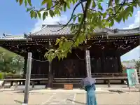 仁和寺(京都府)