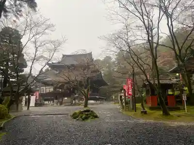 今熊野観音寺(京都府)