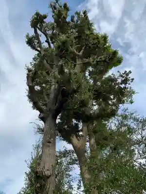 野里神社のその他建物