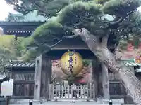 長谷寺の山門・神門