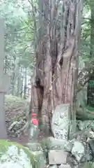 早池峰神社の建物その他