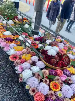 武蔵野坐令和神社の{uncategorized: "未分類", other: "その他", undefined: "問題あり", building: "その他建物", grave: "お墓", sacred_gate: "鳥居", guardian: "狛犬", statue: "像", buddha: "仏像", history: "歴史", nature: "自然", garden: "庭園", animal: "動物", pagoda: "塔", temizu: "手水舎", mountain_gate: "山門・神門", sanctuary: "本殿・本堂", subordinate: "末社・摂社", art: "芸術", scenery: "景色", jizo: "地蔵", ema: "絵馬", goshuin: "御朱印", omikuji: "おみくじ", items: "授与品その他", amulet: "お守り", goshuincho: "御朱印帳", eats: "食事", festival: "お祭り", votive_dance: "神楽", shichigosan: "七五三参", wedding: "結婚式", experience: "体験その他", initially: "初詣", around: "周辺", anti_infection: "感染症対策"}