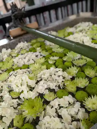 高円寺氷川神社(東京都)