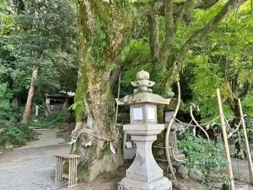 玉祖神社(大阪府)