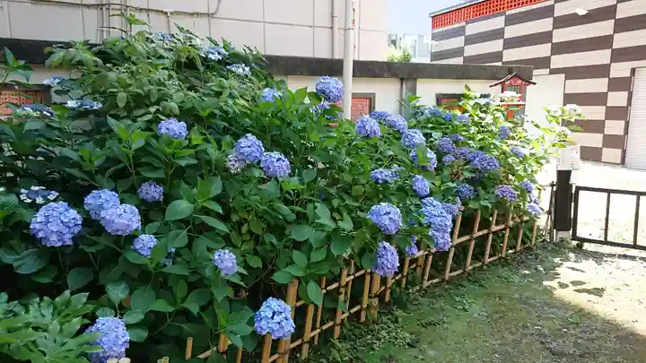 吉原神社の自然