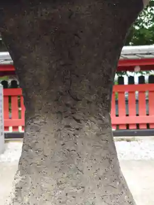 平野神社(滋賀県)