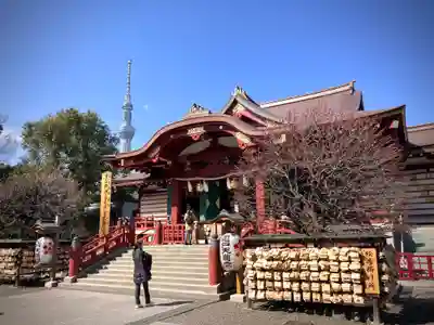 亀戸天神社(東京都)