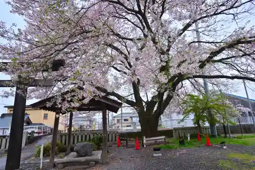 冨知神社(静岡県)