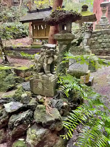 八幡宮來宮神社の狛犬