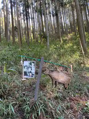 荒立神社(宮崎県)