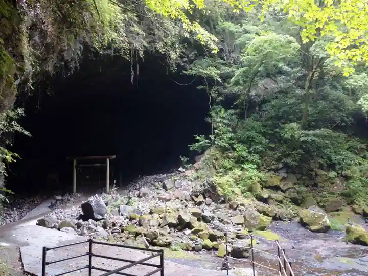 天岩戸神社の自然