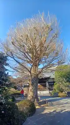 高円寺(東京都)