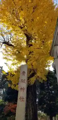 青砥神社の自然