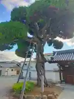 以速寺(大阪府)