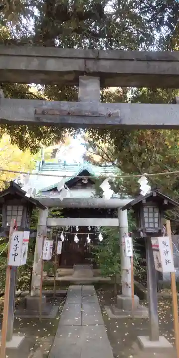 鷲神社(東京都)