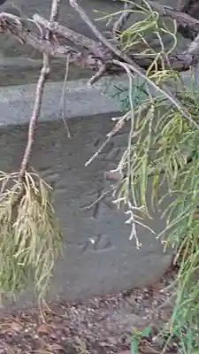 越谷香取神社のその他建物