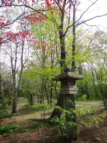 帯廣神社の自然