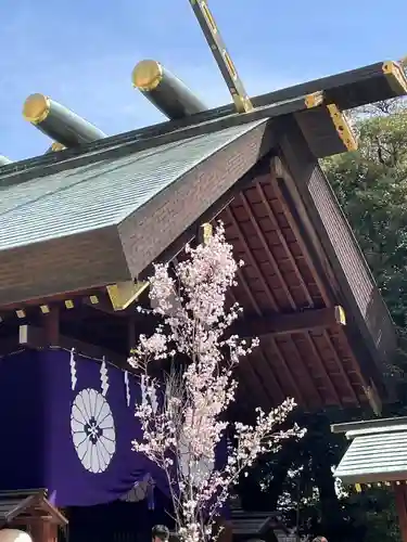 東京大神宮(東京都)