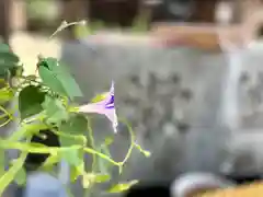 川越八幡宮(埼玉県)