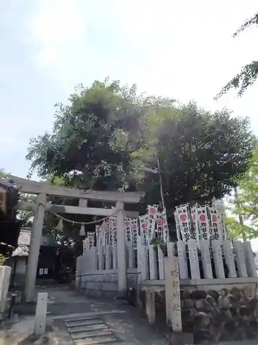 物部神社の鳥居