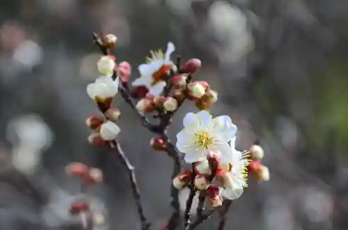 清凉寺(京都府)