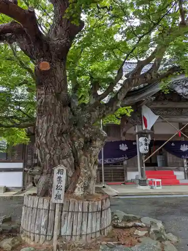 金華山黄金山神社(宮城県)