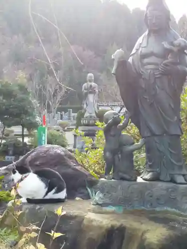 御誕生寺（猫寺）の仏像