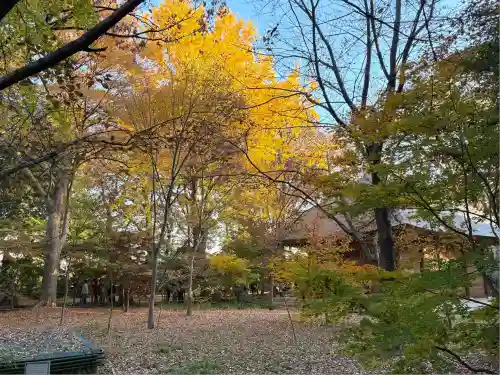 淨眞寺(東京都)