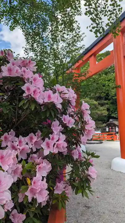 賀茂御祖神社(下鴨神社)(京都府)