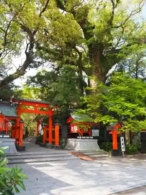 枚聞神社の鳥居