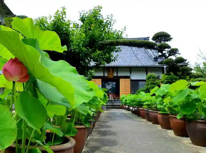 香勝寺のその他建物