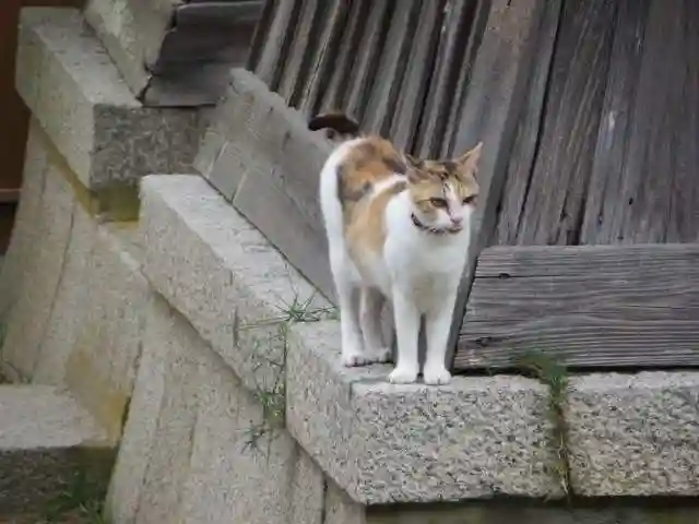 智恩寺(京都府)