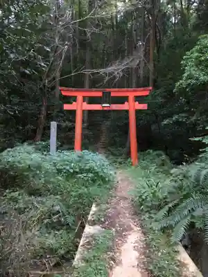 大縣神社の鳥居