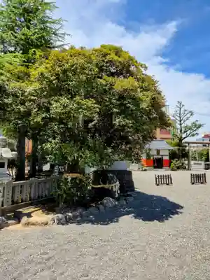 神明神社(福井県)