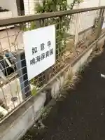 頭護山 如意寺の御朱印