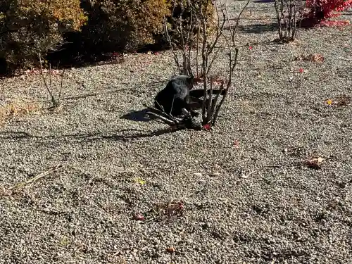 長福寺(長野県)
