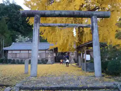 丹生酒殿神社の鳥居