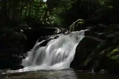 瀧鶏山不動尊の自然