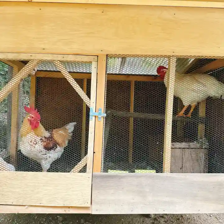楽法寺(雨引観音)(茨城県)