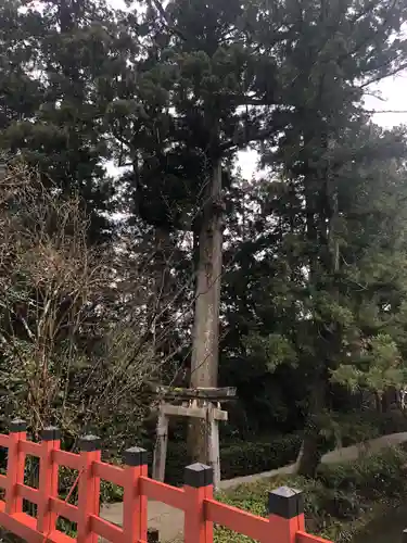 高鴨神社の自然