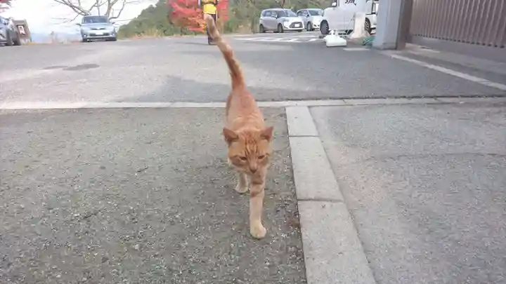 南法華寺(壷阪寺)(奈良県)
