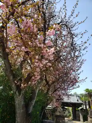 荘厳寺(東京都)