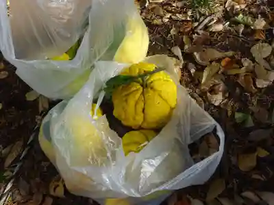 弥生神社(神奈川県)